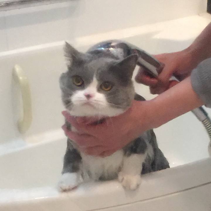 Fbe99009 42c4 4d37 9863 632ee727e933