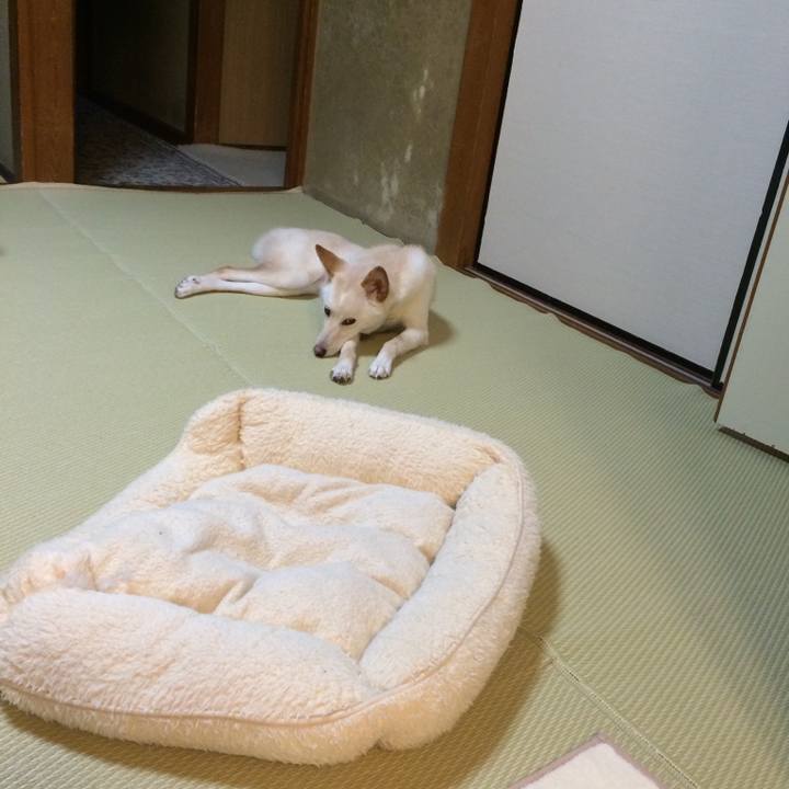 Fbe99f17 e384 4028 8c38 148e8d6d9b82