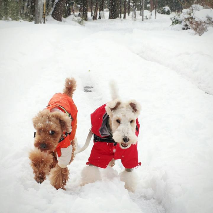 Fbea384a 7c66 45e1 bcb9 748e58027837