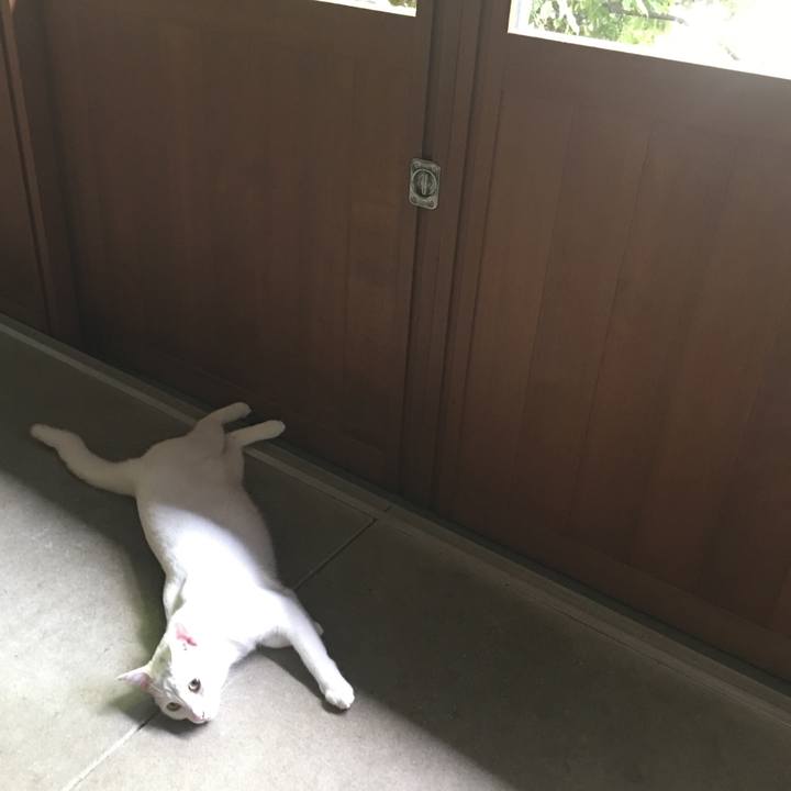 Fbeb770d 6093 4219 94b7 6072616d2026