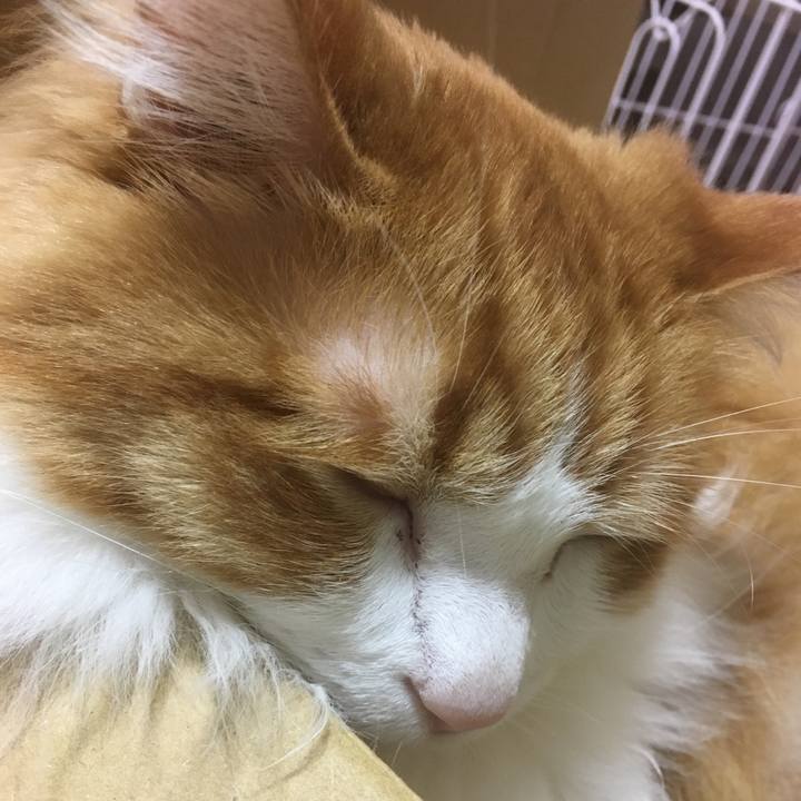 Fbebf860 0ed3 47d5 8751 b718a2e5864a