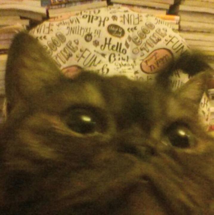 Fbec12b5 a051 4bff ada0 903bacfec65b