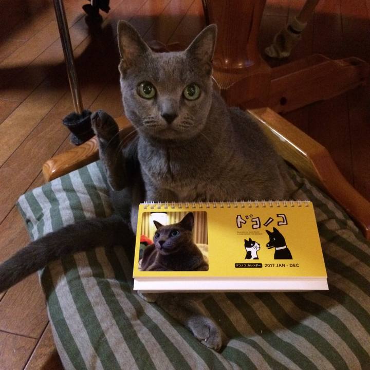 Fbec82cb 1b1a 47fc b77c 8de36a219085