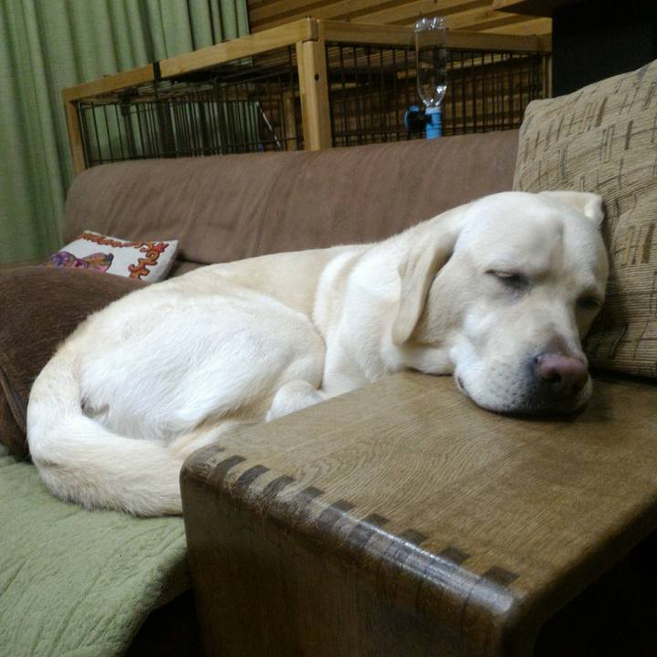 Fbecc8d3 e09d 43d9 822a fcede7389f10