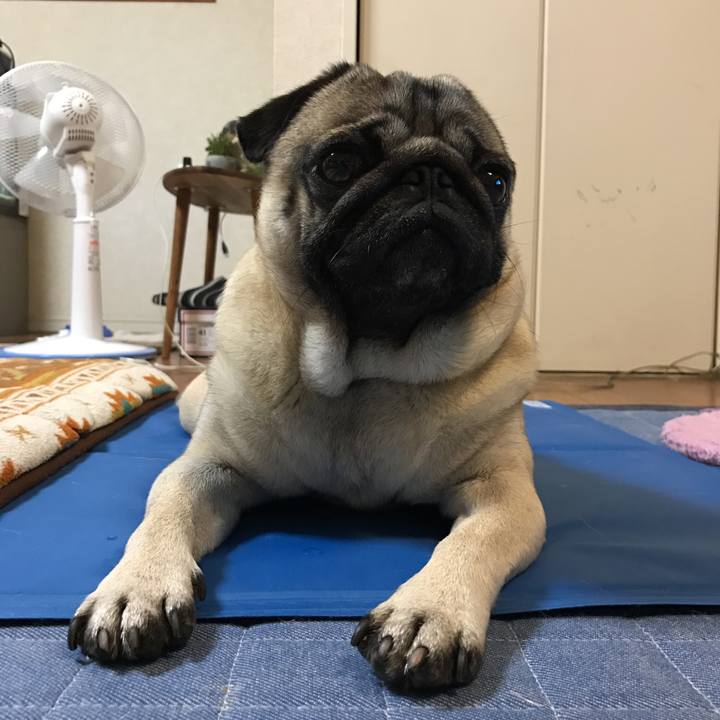 Fbed5ab9 d939 4d69 a3a5 578d5ef2106d