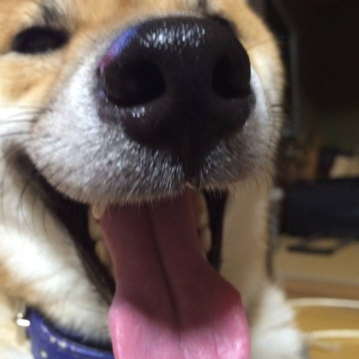 Fbed6a8c d4f6 45de 9b0a 6f3bd2ca7c4a