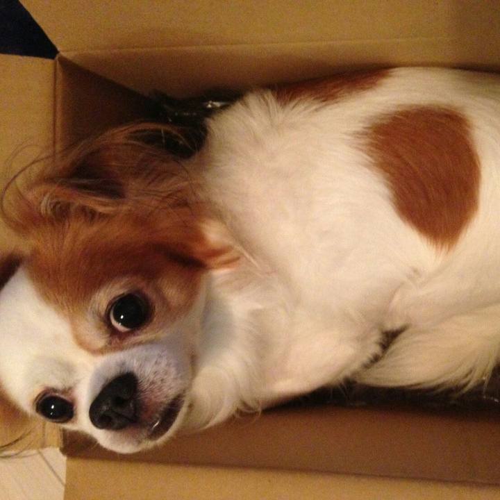 Fbef425e f5f0 4da7 997b 36dd1182e41c