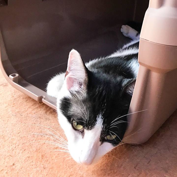 Fbf0098b 654a 41b3 918c e6ff7a70d69d