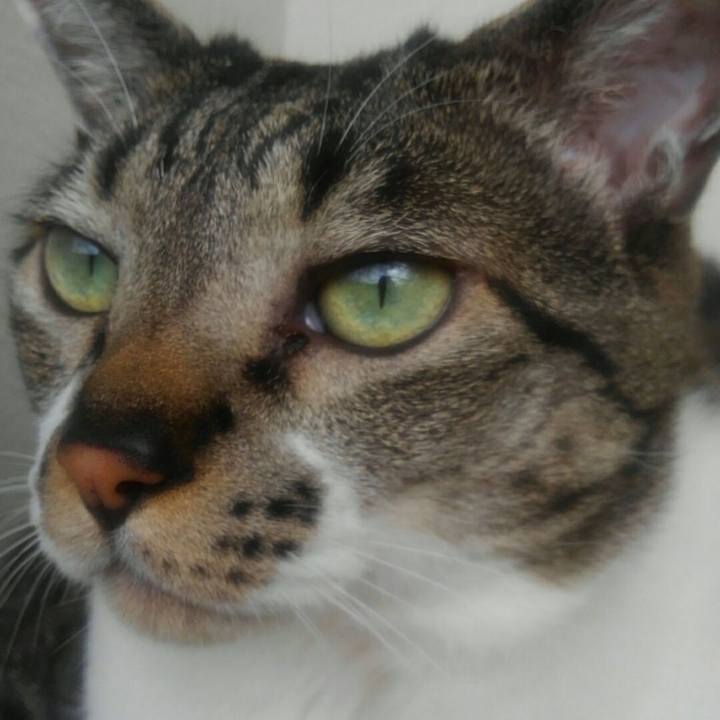 Fbf039e9 71f6 4252 9664 00be46a424be