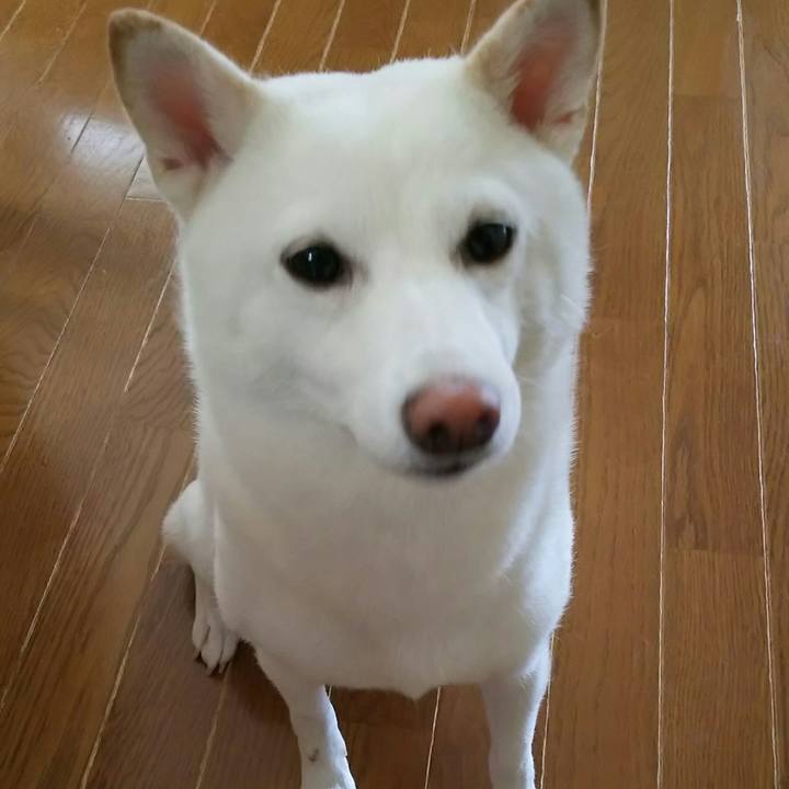 Fbf06b7a 9bcb 46bd 97d3 f36d6c1e200a