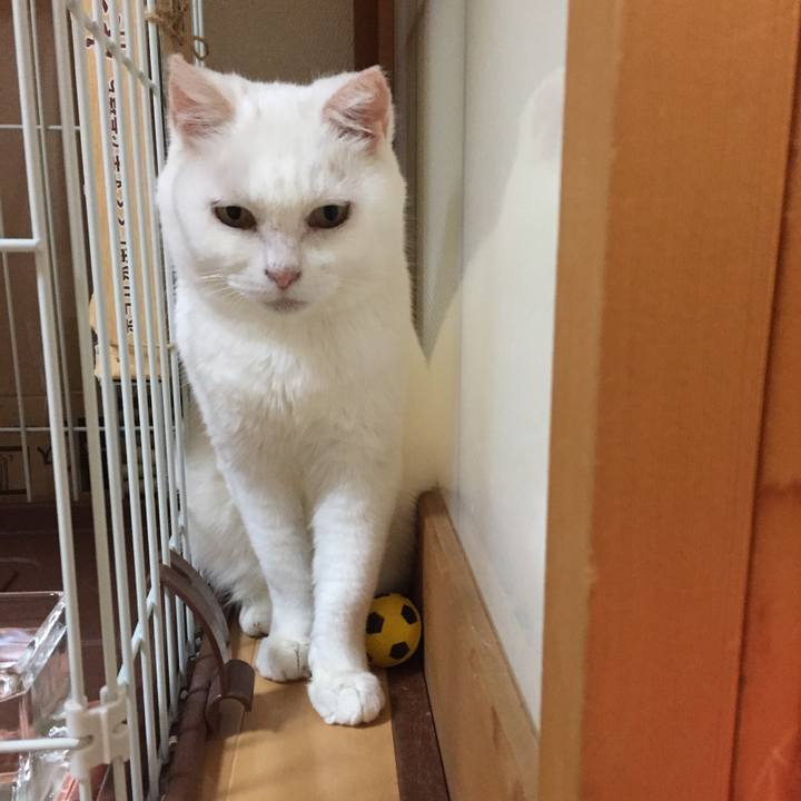 Fbf0dd91 4055 439d a294 17012a591ab3