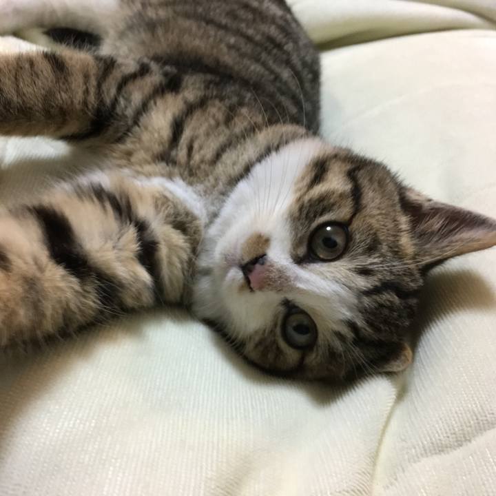 Fbf18f14 2438 44f1 80c9 3add34b3a8da