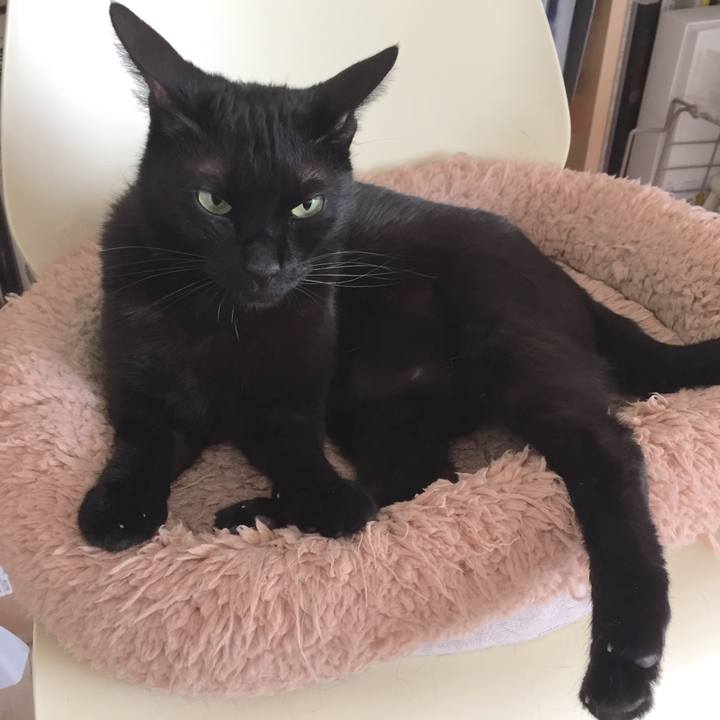 Fbf1c3ca 33b9 4f45 a5a6 848125665c45