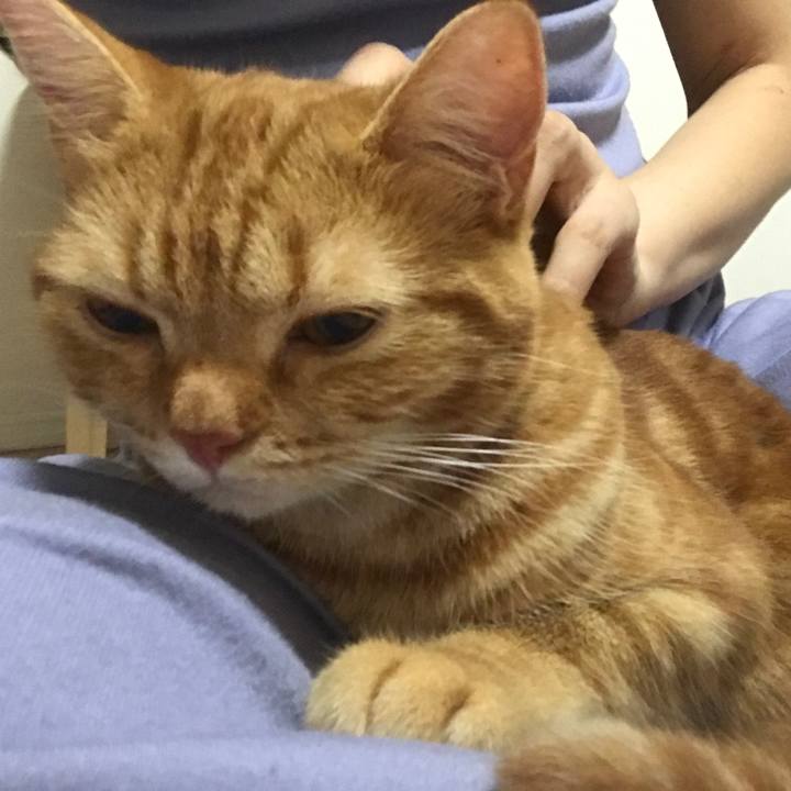 Fbf1d64f 6001 4d6b 8dae 504b4a64584e