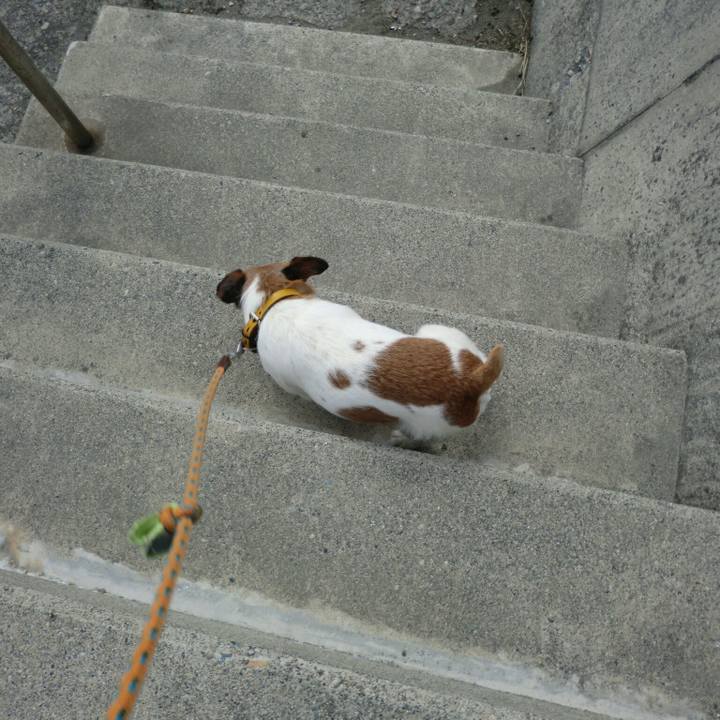 Fbf1e597 406d 494c b4d2 675d249dbcd0