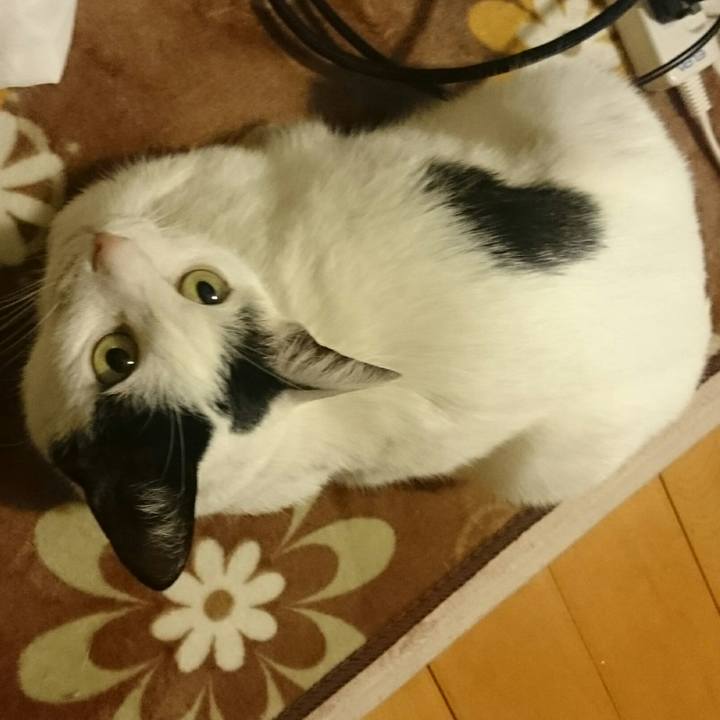 Fbf218a0 d71b 4dc3 9e28 51d4db91fb46