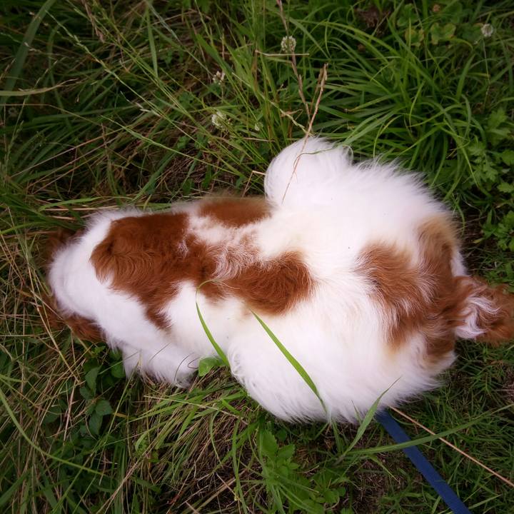 Fbf22cc0 2514 4bf0 bc80 2fe19ade7d87