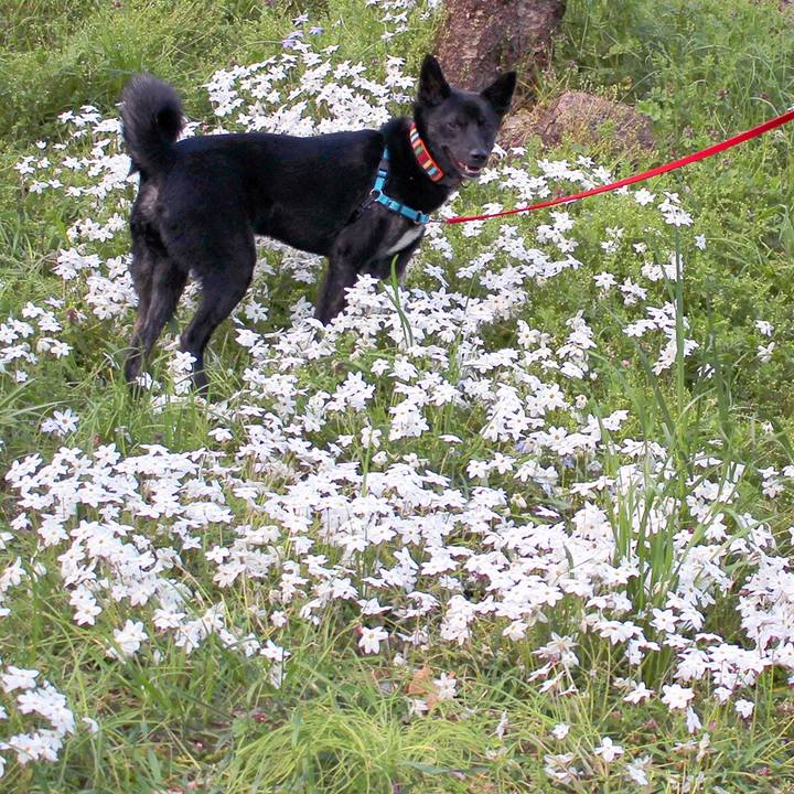 Fbf28c81 ad5c 4183 a076 926f57597262