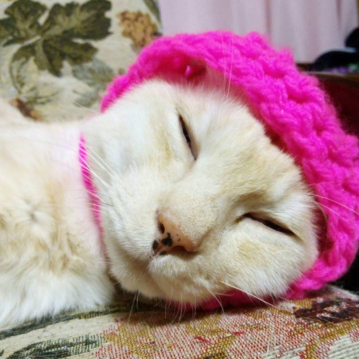 Fbf28f58 394d 4f45 9580 9fec159177b4