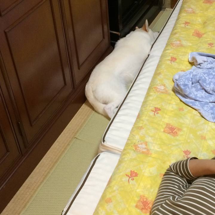 Fbf3095f 6ad8 48de 98d9 0415dbfc21c4