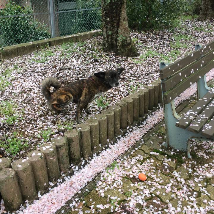 Fbf31de0 0d09 49cc bcb5 723e96f6f940