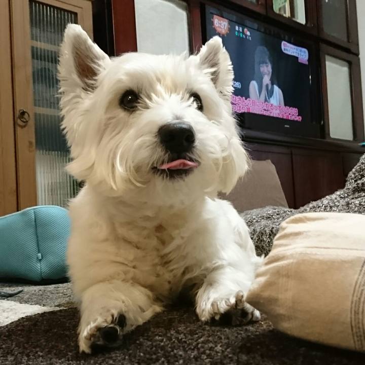 Fbf3ffed 255e 491a 893f bf73cc749af7