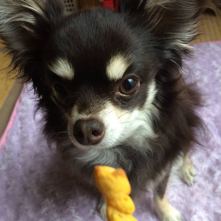 Fbf41d88 182e 4ebb 9ceb 06a775f5785f