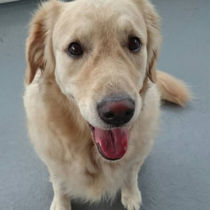 Fbf43acf bd9d 41b5 b3f5 c611c1b09151