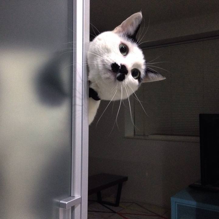 Fbf451eb 76a1 4723 9641 f6c3d5572955