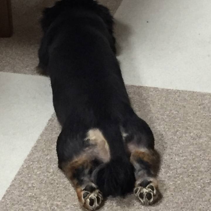 Fbf472db db5c 4b1c af3b 0290fae9a33e