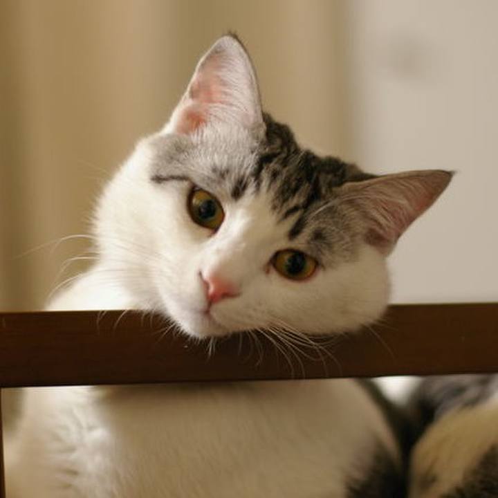 Fbf4b886 ac98 40fb a2e9 d4928148cd02