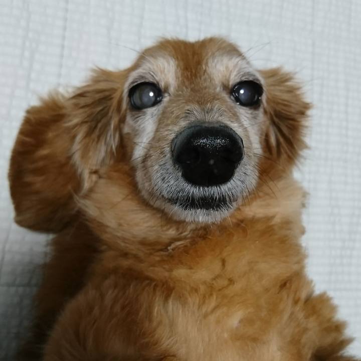 Fbf4c506 e9a7 4a57 8f1b c84eb9b7c502