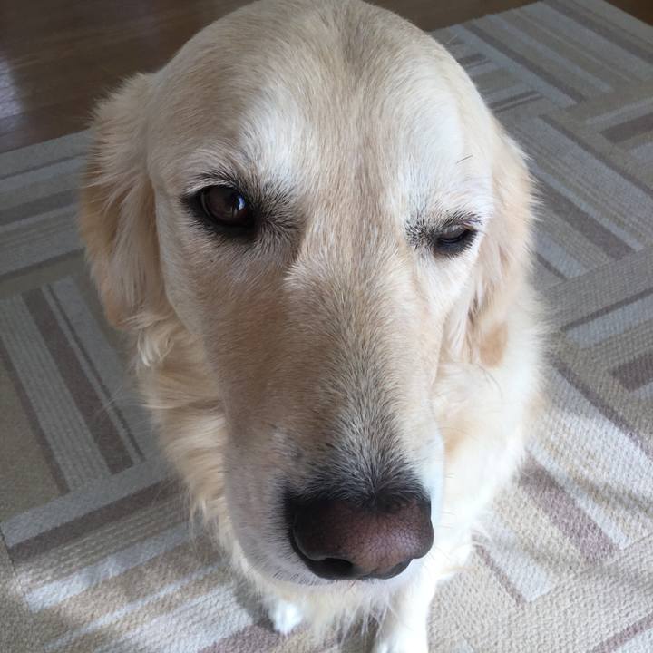 Fbf554d9 8e00 4bb1 9eb9 110a48ff06fc