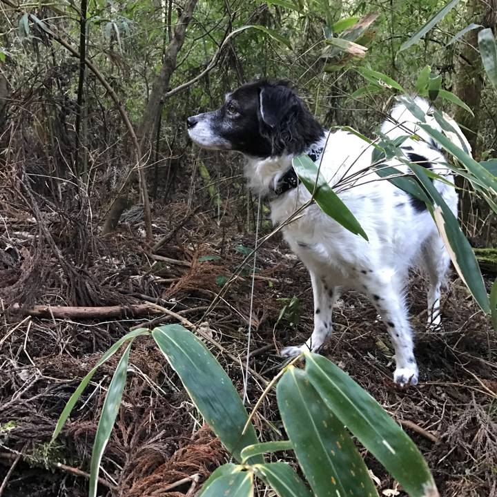 Fbf5f721 3838 41a3 95cb 79bca685865f