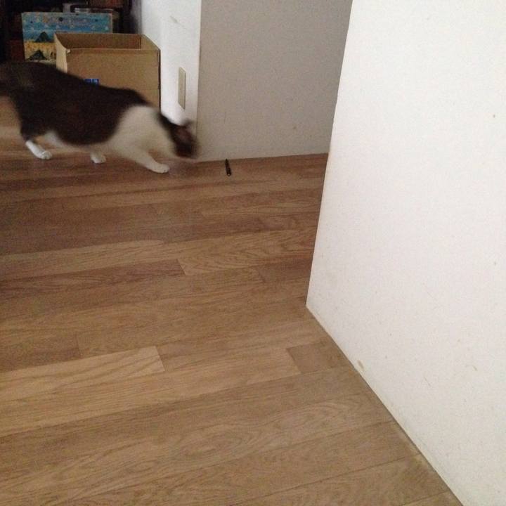 Fbf5fe87 8323 4bc0 8069 b6e54dcae66f