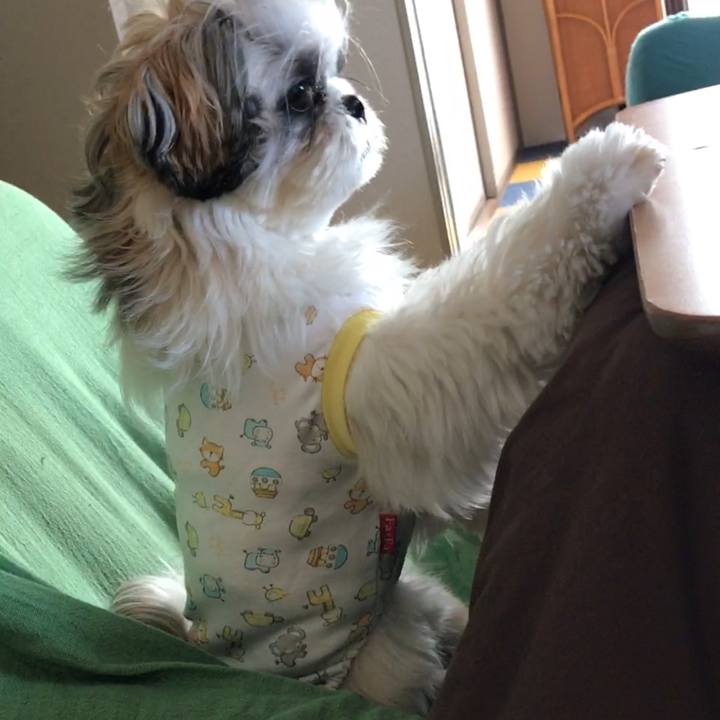 Fbf66914 f9b5 4c72 b706 d4e47a8c140b