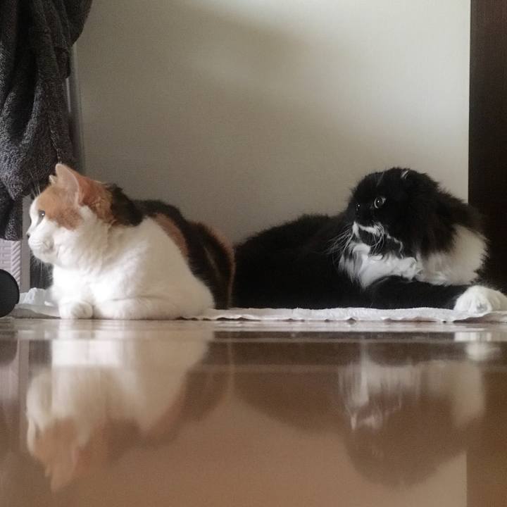 Fbf6c672 942a 4e7d 8818 4cf25dcce8e5