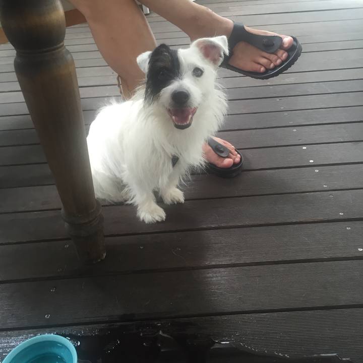 Fbf6d9af c265 4b32 bc04 eebb058465f5