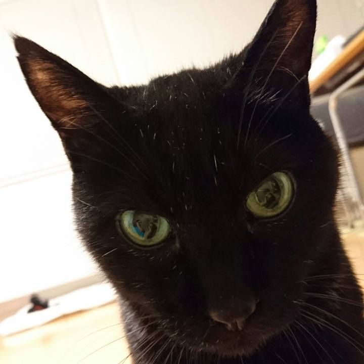 Fbf7f92c cfa3 401a b63d 6f311a4fa3f4