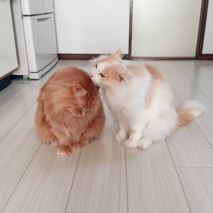 Fbf93a4d a661 4548 be9f 88819e23cf88