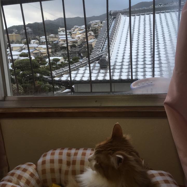 Fbf98a0e c4d0 4957 a1ce 5badd1abbb9f