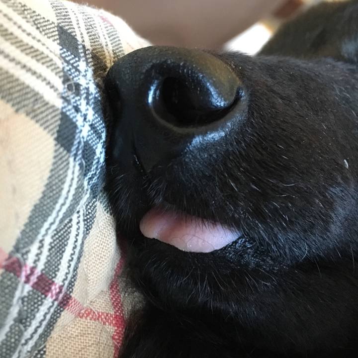 Fbf9d6ba 1801 45af bb16 9e40c8a038ba