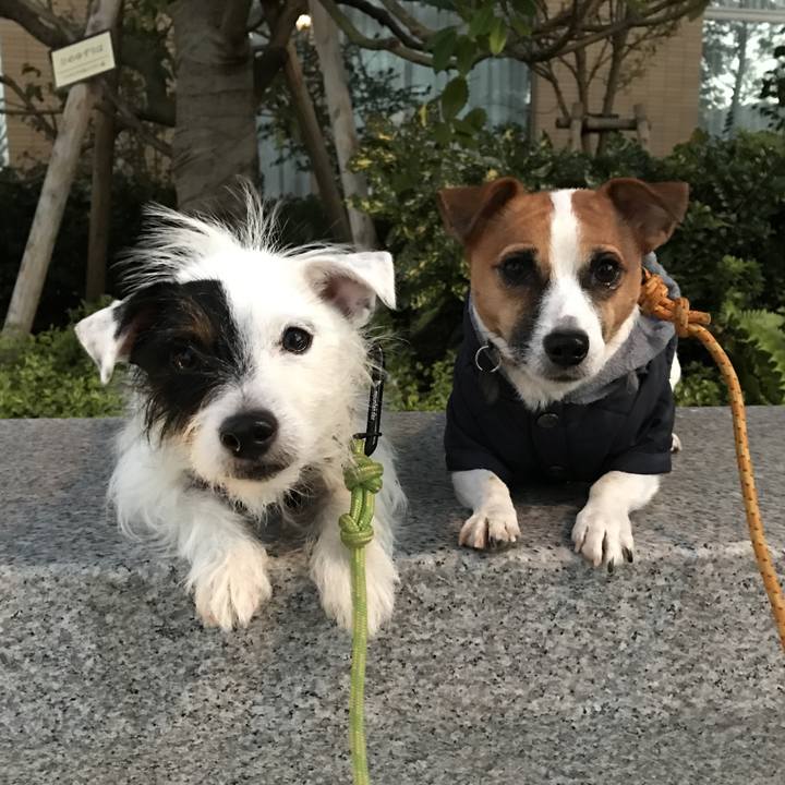 Fbfa2eaa ec0a 4184 9100 019a07249aec