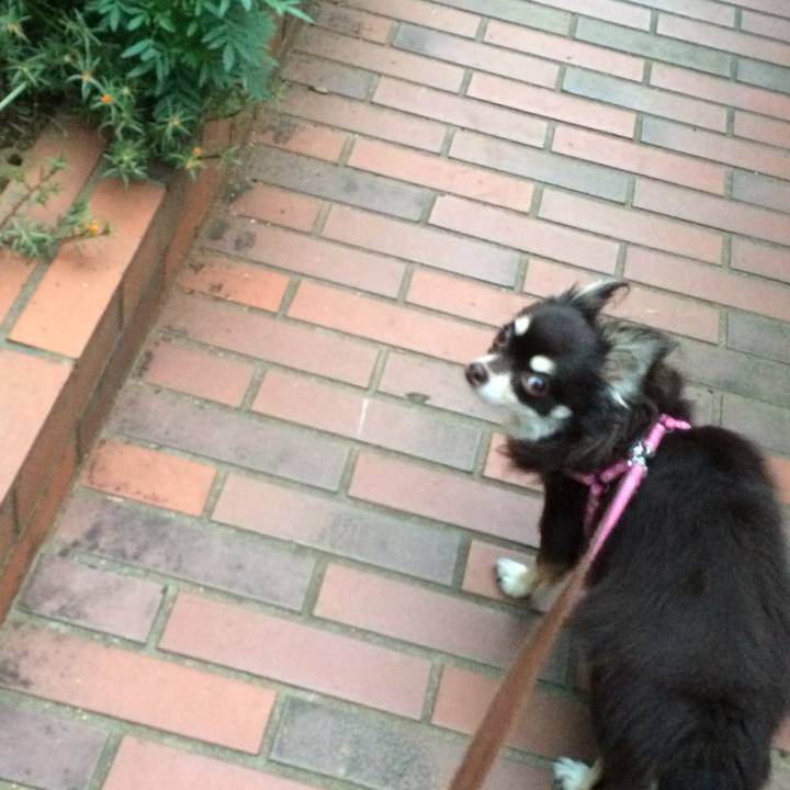 Fbfa9332 ab74 42ef 82fc f349b9328aac