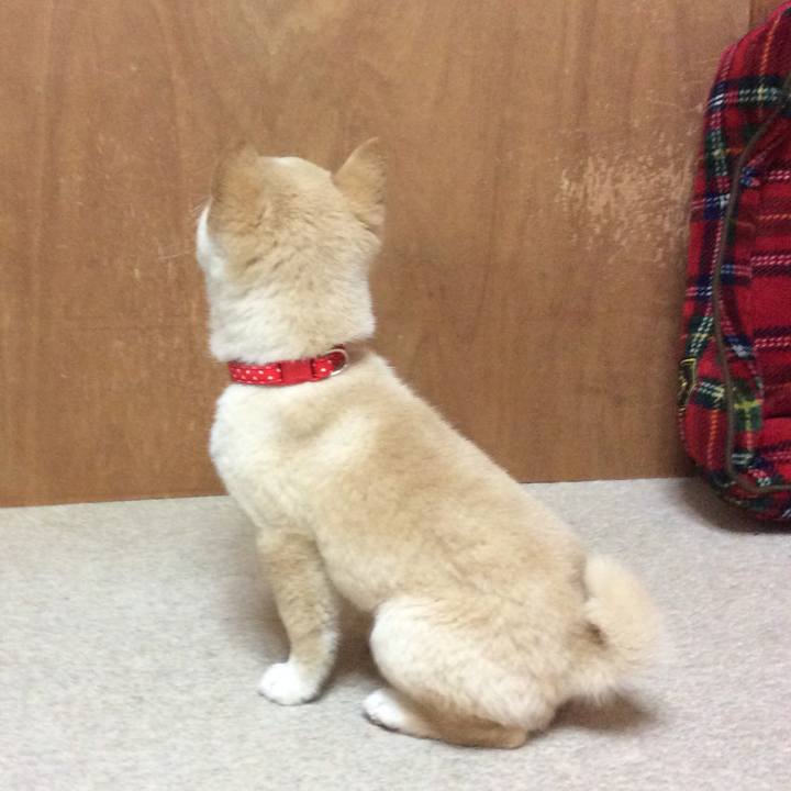 Fbfb782e eefd 4164 ba25 dcc68a2c0370