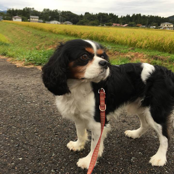 Fbfbc1a8 c8c3 4f24 acda 8143e73d5ca5