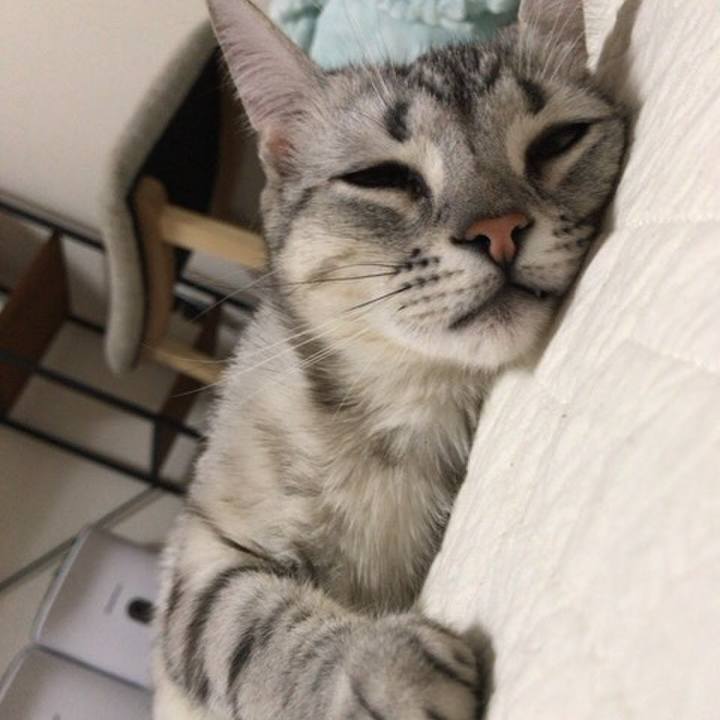 Fbfc6945 a90e 43bb 946e c81fb90c39af