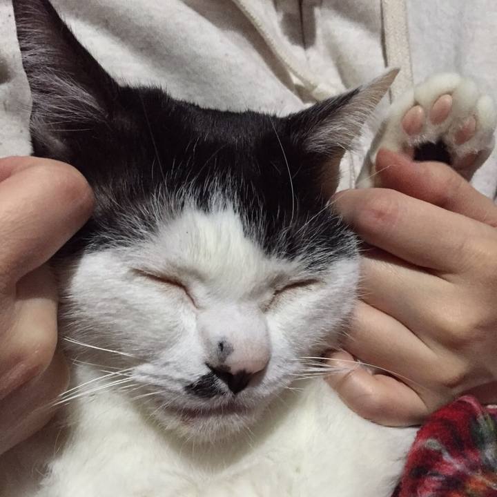 Fbfd2eab e30d 4fbb a324 cac8ca33e612