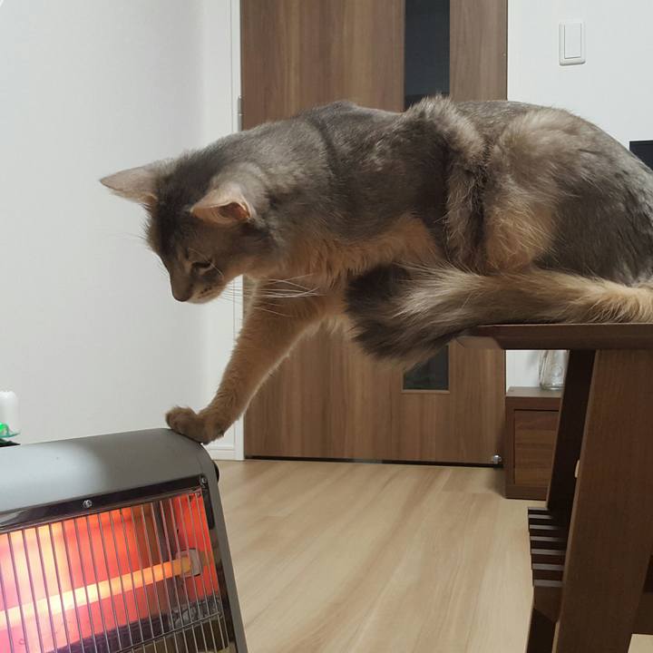 Fbfd3dfa 7b82 4317 9c22 a765cf861e20