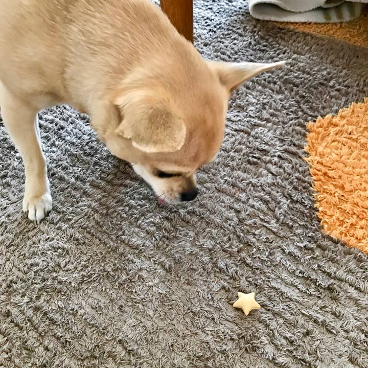 Fbfd67a9 7378 46b9 b8b4 babe7fa773c8